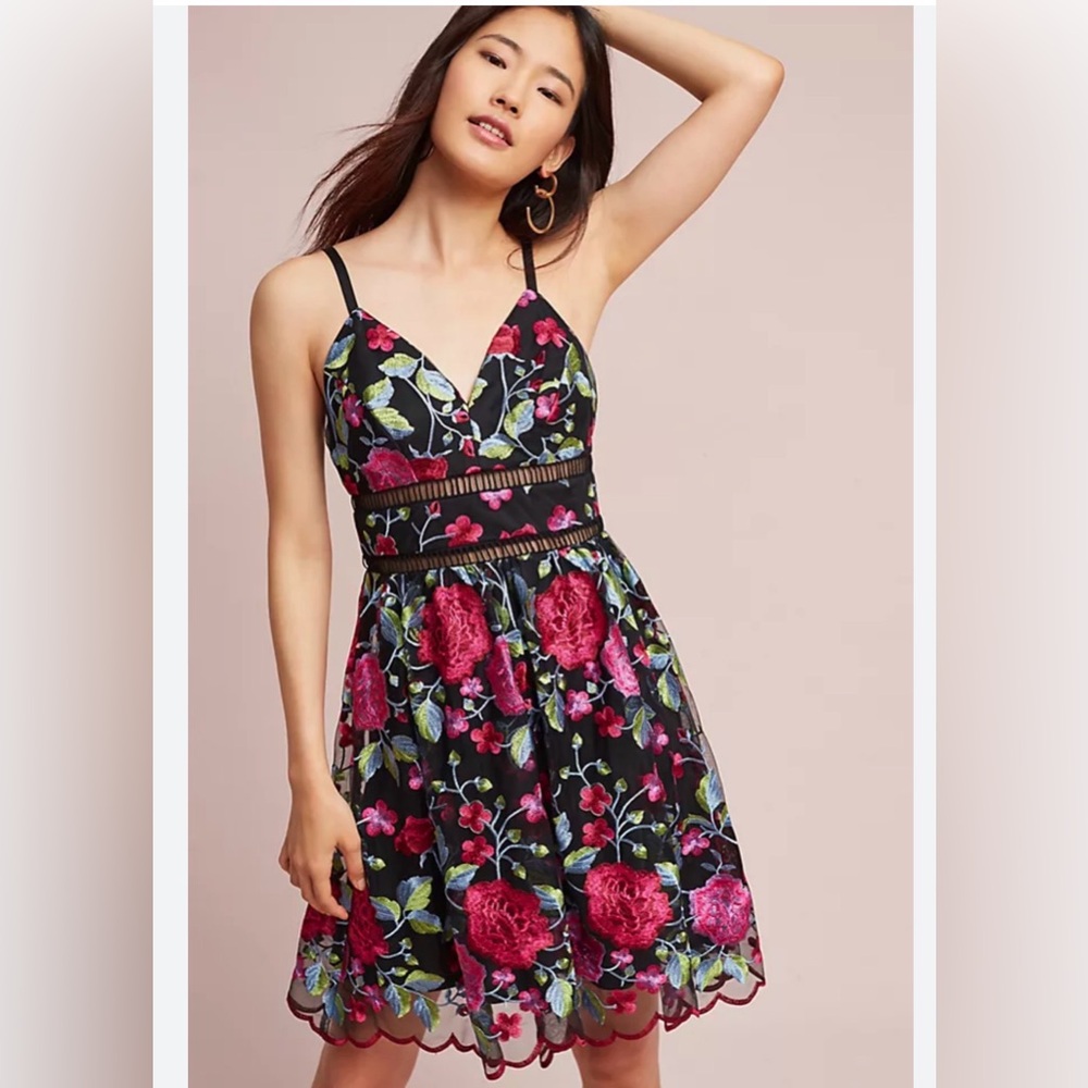 Anthropologie Nicole Miller Black Floral Embroidered Dress
